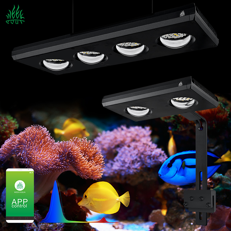 Zxy venda quente weekacu z250  - Marine Aquarium App avaliação e preço