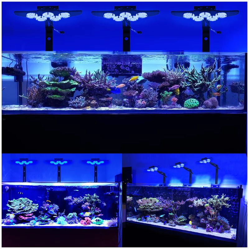 Luz LED de Alta Luminosidade p - Marine Aquarium App avaliação e preço