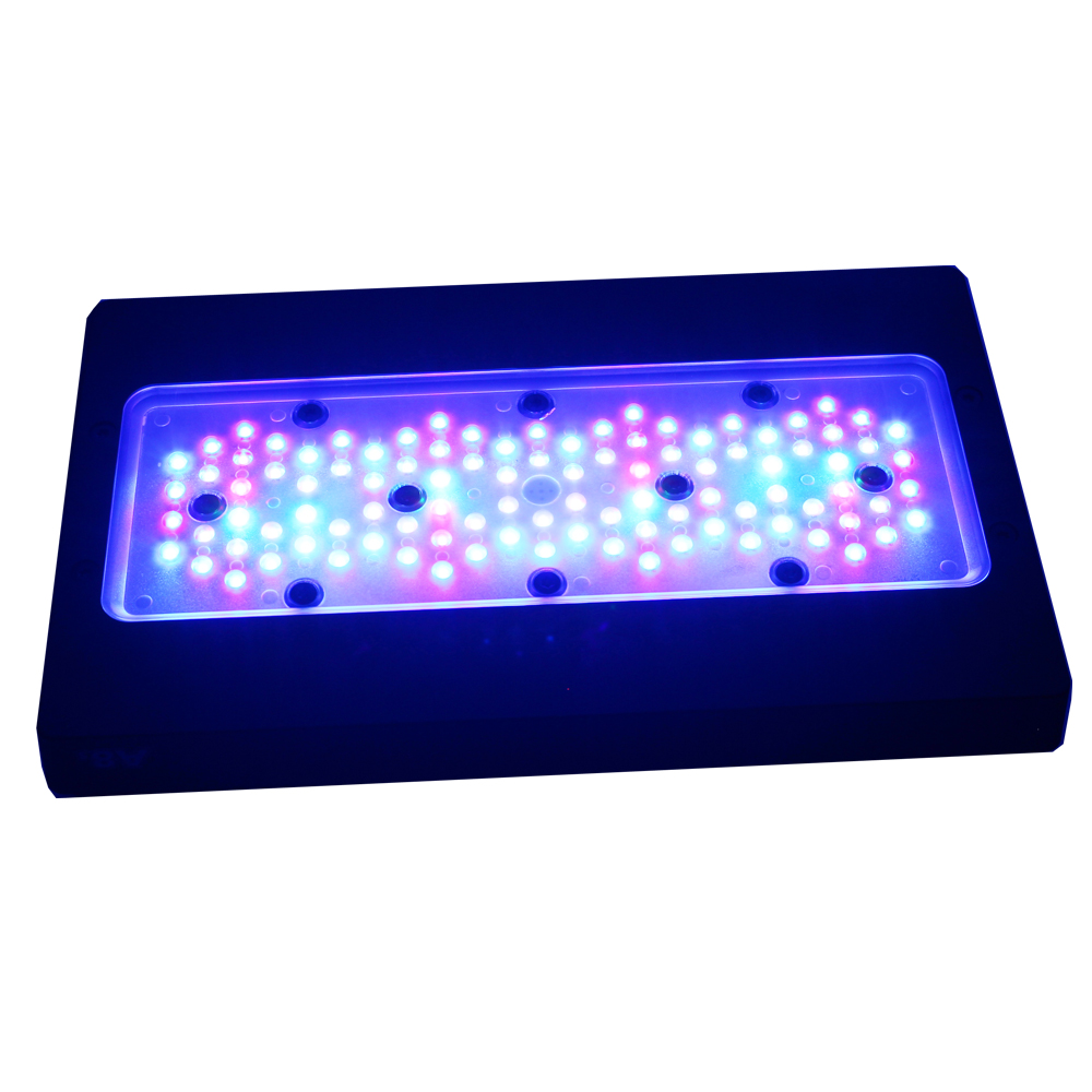 Iluminação LED Marinha para Aq - Marine Aquarium App avaliação e preço